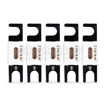 Victron Energy CIP143300020 ANL-Fuse 300A/80V (Package of 5 pcs)
