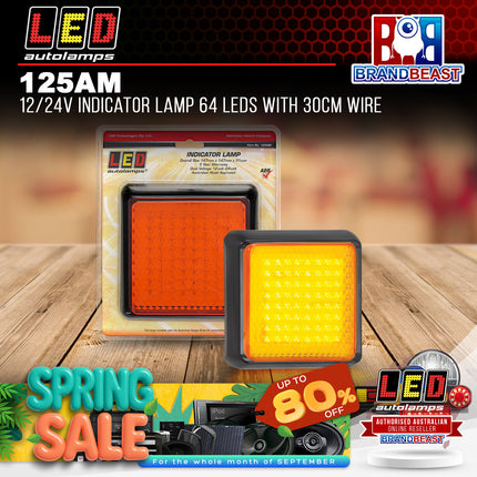 LED Autolamps 125AM 12/24V Indicator Lamp 64 LEDs With 30cm Wire
