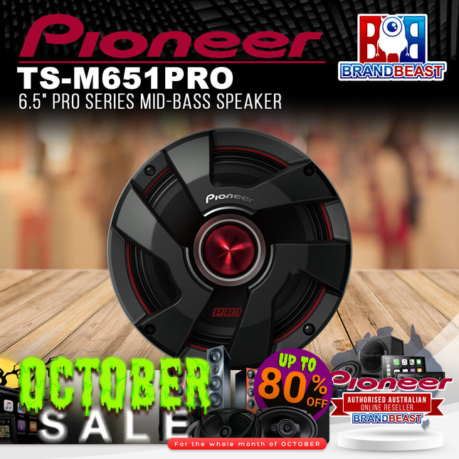 Pioneer TS-M651PRO 6.5" PRO Series Mid-Bass Speaker - Pair