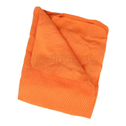 Autobacs ACW-2005 Large Synthetic Chamois