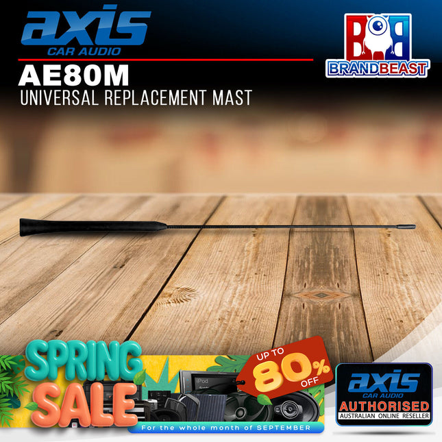 Axis AE80M 40cm AE80 Antenna Replacement Mast