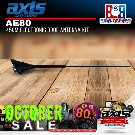 Axis AE80 45cm Electronic Roof Antenna Kit