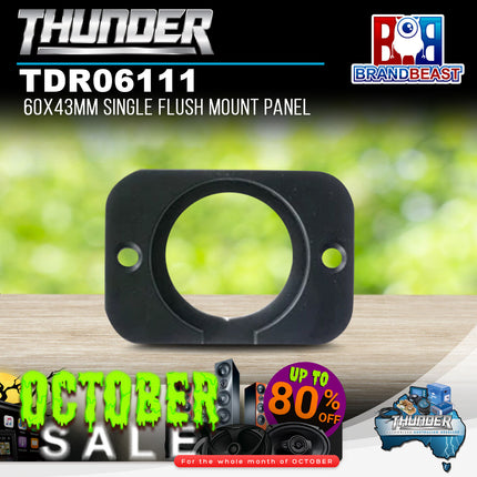 Thunder TDR06111 60x43mm Single Flush Mount Panel