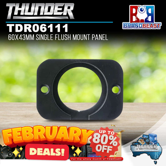 Thunder TDR06111 60x43mm Single Flush Mount Panel