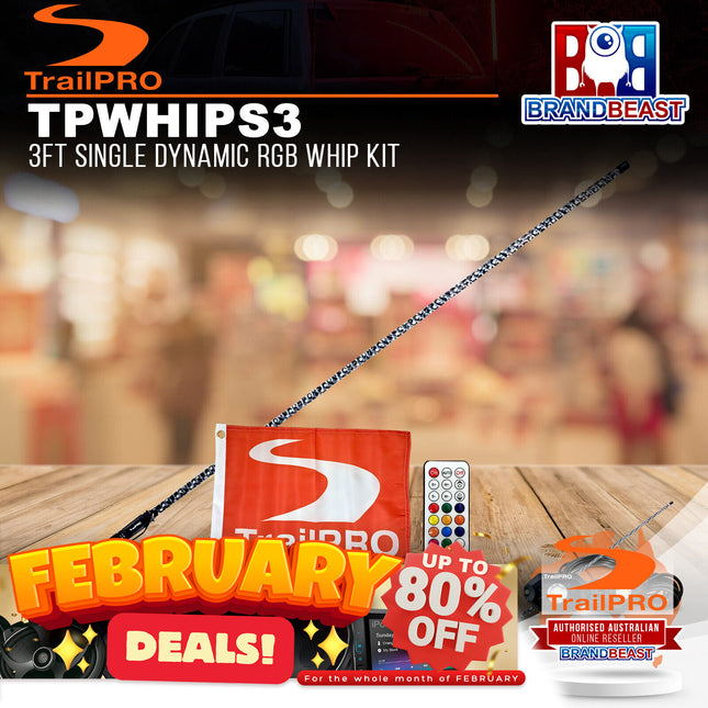 TrailPRO TPWHIPS3 3ft Single Dynamic RGB Whip Kit