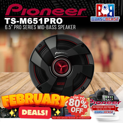 Pioneer TS-M651PRO 6.5" PRO Series Mid-Bass Speaker - Pair