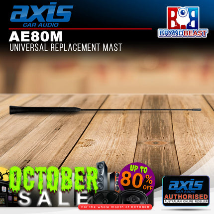 Axis AE80M 40cm AE80 Antenna Replacement Mast